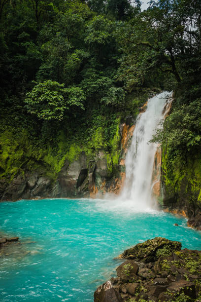 istock Tenorio National Park 1215397519