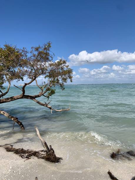 istock Ocean view from Sanibel Island 1215397586