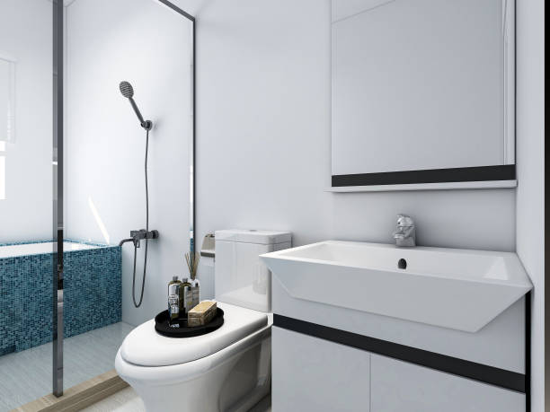 istock 3D rendering, modern residential clean bathroom design, with washbasins, mirrors, toilets, shower equipment and bathtubs 1215397705