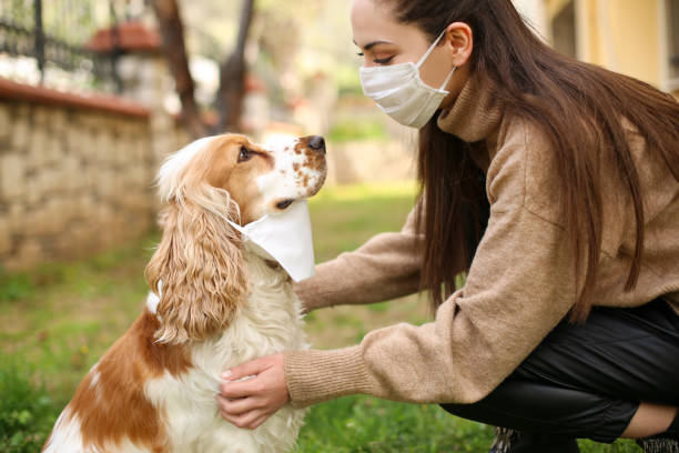 istock Newer alone when you have dog 1215401691