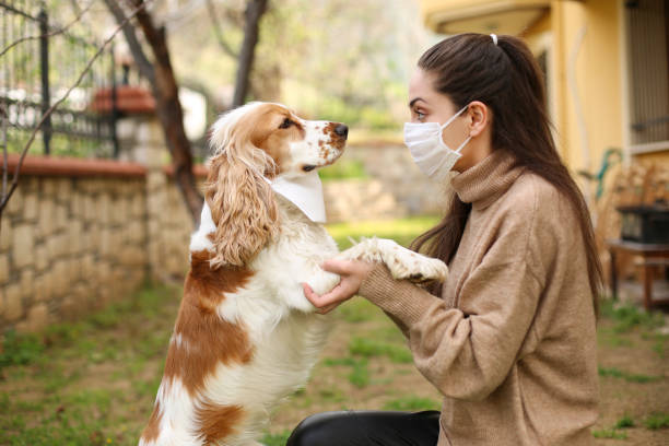 istock Newer alone when you have dog 1215401694
