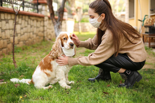 istock Newer alone when you have dog 1215401695