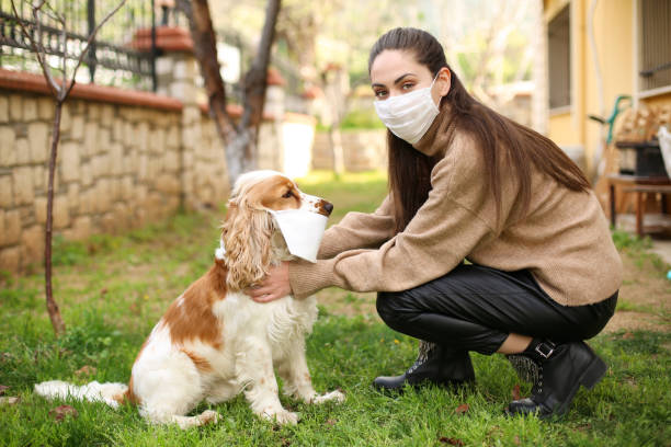istock Newer alone when you have dog 1215401697