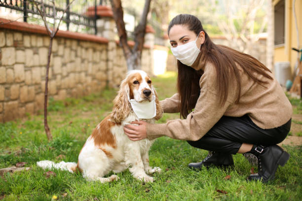istock Newer alone when you have dog 1215401710