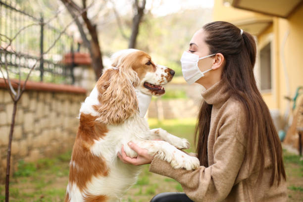 istock Newer alone when you have dog 1215401712