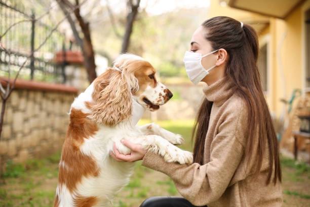 istock Newer alone when you have dog 1215401714