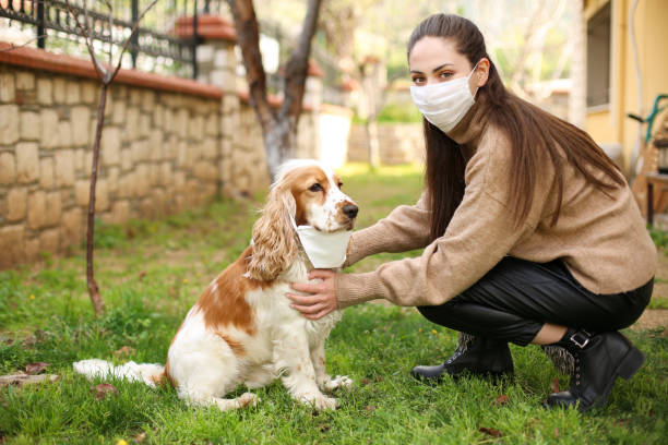istock Newer alone when you have dog 1215401720