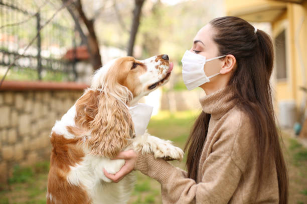 istock Newer alone when you have dog 1215401724
