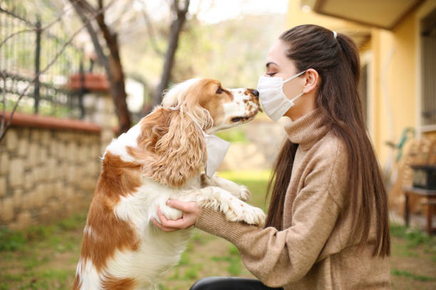 istock Newer alone when you have dog 1215401726