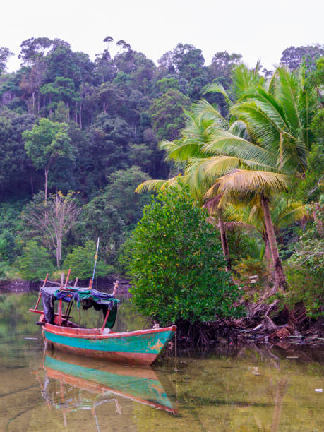 istock Koh Rong, Cambodia 1215402922
