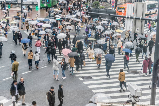 istock Rainy Shibuya Scramble Crossing 1215405704