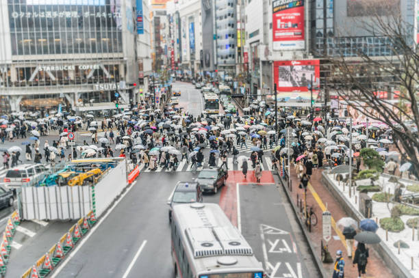 istock Rainy Shibuya Scramble Crossing 1215405728