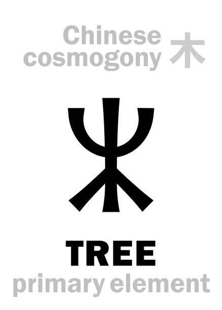 Alchymie Alphabet: TREE / WOOD [木] one of the five primary elements of creation of The World in Chinese philosophy «Wu-Xing» & «Feng-Shui». Chinese hieroglyphic character, sign/symbol of The East. Alchymie Alphabet: TREE / WOOD [木] one of the five primary elements of creation of The World in Chinese philosophy «Wu-Xing» & «Feng-Shui». Chinese hieroglyphic character, sign/symbol of The East. 木 stock illustrations