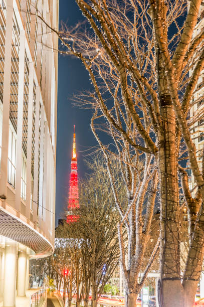 istock View of Roppongi at night 1215408943
