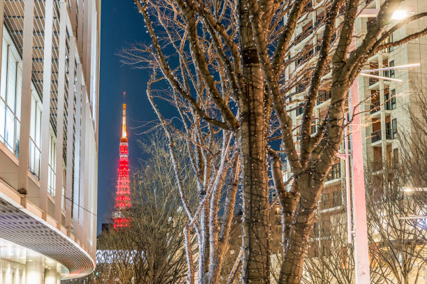 istock View of Roppongi at night 1215408986