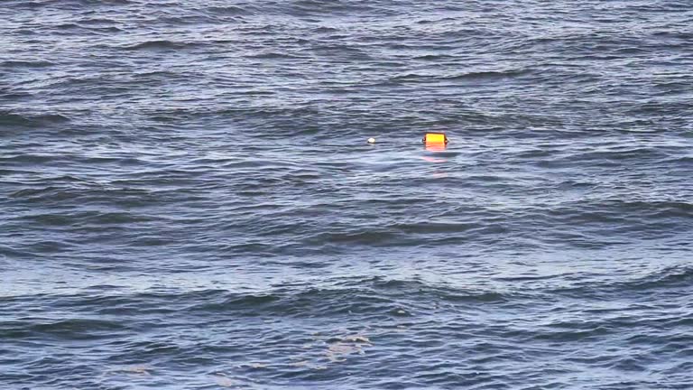 Fishing buoy