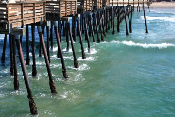 istock Pismo Beach, California pier from different angles 1215410142