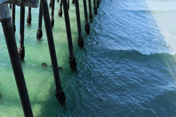 istock Pismo Beach, California pier from different angles 1215410144