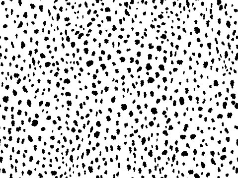 Animal print seamless pattern design with irregular black spots on white background. Dalmatian pattern animal print.