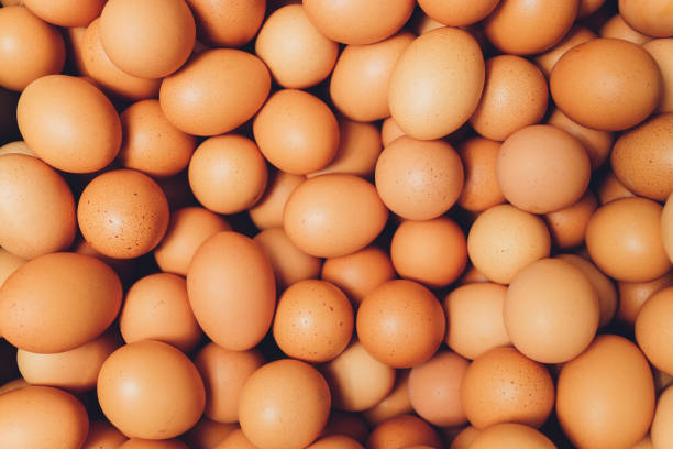 istock many fresh brown eggs for sale at a market. 1215414740