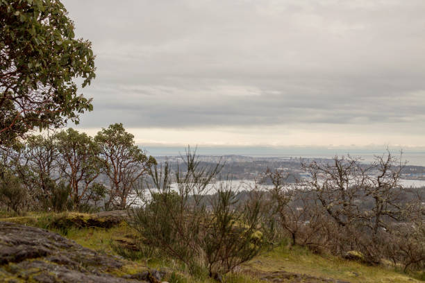 Mill Hill Views View of Victoria BC from Mill Hill in Colwood colwood photos stock pictures, royalty-free photos & images
