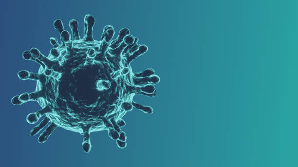 istock Coronavirus Covid-19 cell virus under microscope over blue background with banner copy space, pandemic risk coronavirus covid-19 outbreak, 3D render. Illustration 1215423148