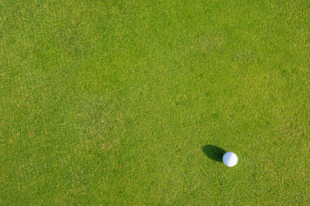 istock A golf ball placed on the grass of a golf course. 1215425504