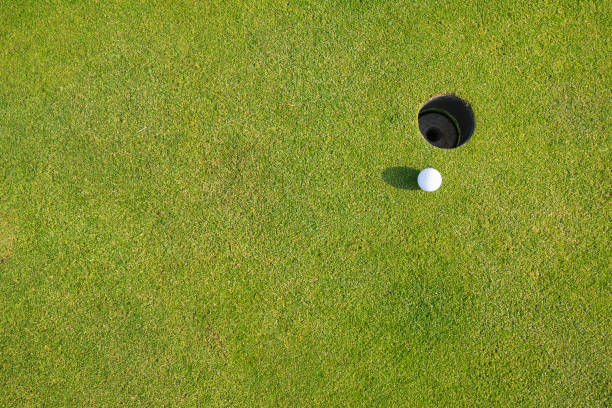 A golf ball near a cup on a golf course. A golf ball near a cup on a golf course. ゴルフ stock pictures, royalty-free photos & images