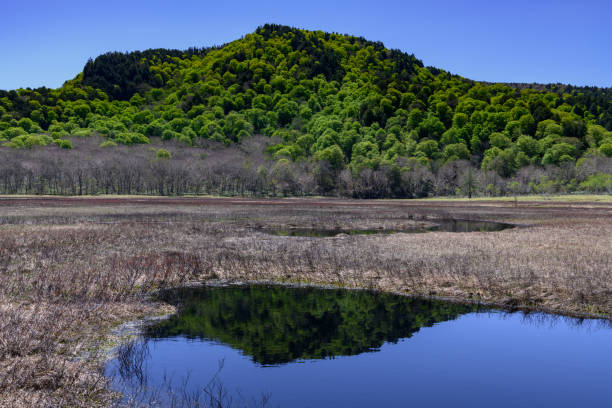 istock Ozegahara Marshland in the spring 1215425523