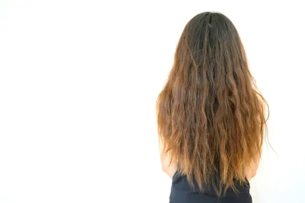 Photo of Back view of woman with her damaged split ended hair. Hair damage is risk for further damage and breakage.