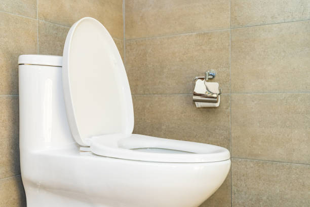 istock Luxury clean white toilet bowl seat 1215427991