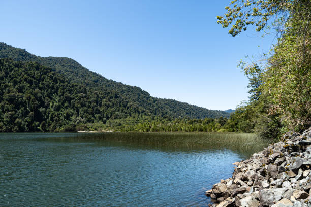 istock Patas Lake in southern Chile 1215428942