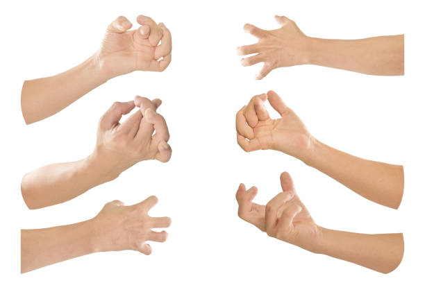 istock Collection of hand with finger bent isolated on white background. Object with clipping path. 1215430245