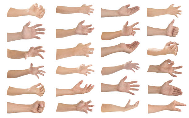 istock Hand gesture and sign collection isolated on white background. Object with clipping path. 1215430269