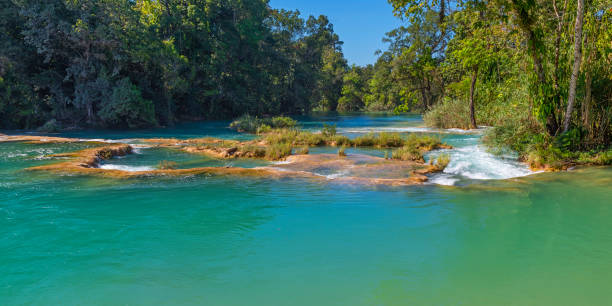 Water Blue Cascades Panorama, Chiapas, Mexico Panorama of the tropical rainforest and the Agua Azul Cascades near Palenque, Chiapas, Mexico. guatemala landscape stock pictures, royalty-free photos & images