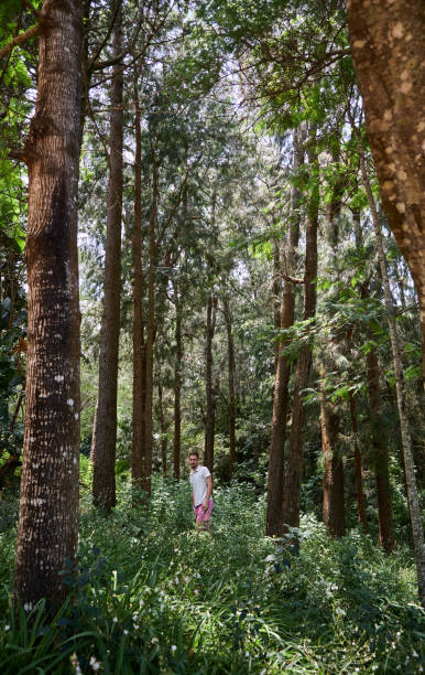 istock walking a trekking trail between the trees 1215431255