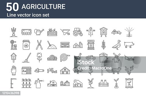 istock set of 50 agriculture icons. outline thin line icons such as fertilizer, scythe, gloves, nest box, mill, eggs, chicken 1215436398