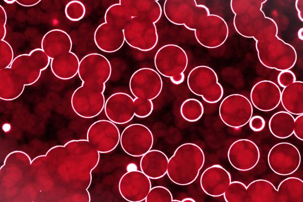 creative beautiful many organic unicellulars computer graphic texture or background illustration