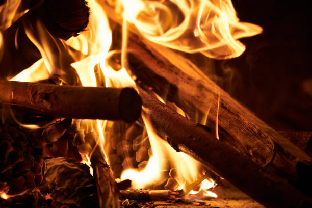 istock close up view of firewood and pinecone on fire flames 1215437079