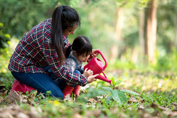 asiatische familie mutter und kind tochter pflanzen sapling baum im freien in der natur frühling für die verringerung der globalen erwärmung wachstum feature und kümmern sich um natur erde. - garden feature stock-fotos und bilder