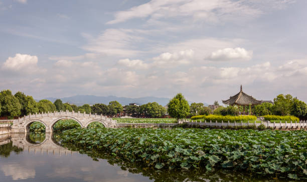 jardín con loto en el templo confuciano - confucian fotografías e imágenes de stock