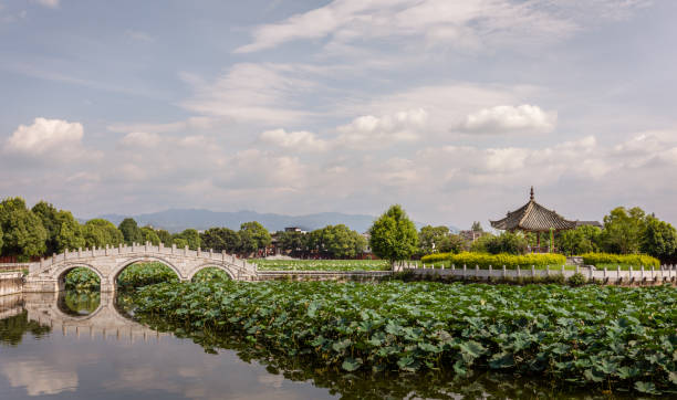 сад с лотосом в конфуцианском храме - confucian стоковые фото и изображения