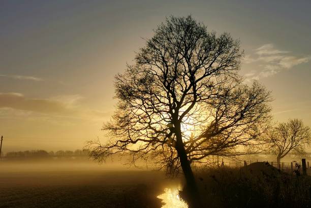 sunrise - wouter imagens e fotografias de stock