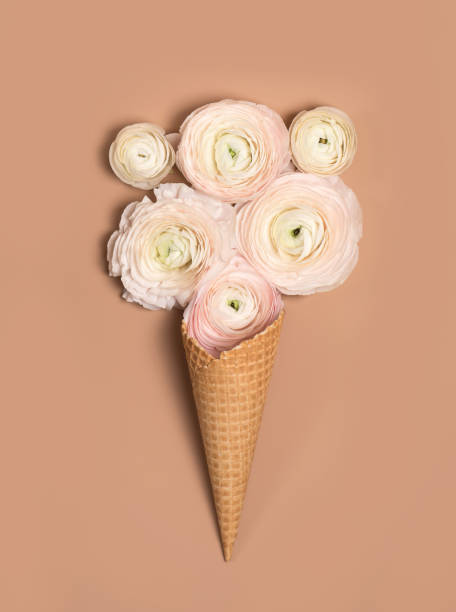 istock Delicate white flowers in a waffle Cup. Flatley layout. 1215455969