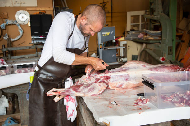 istock Mid adult man with beard cutting up recently slaughtered lamb. 1215457031