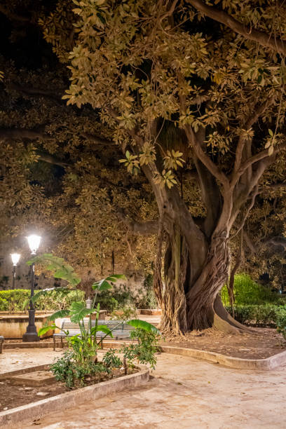 istock Siracusa Italy 1215459497