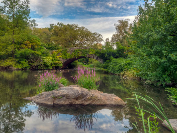 istock Gapstow Bridge in Central Park 1215465855