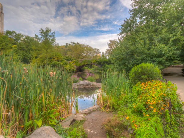 istock Gapstow Bridge in Central Park 1215466547