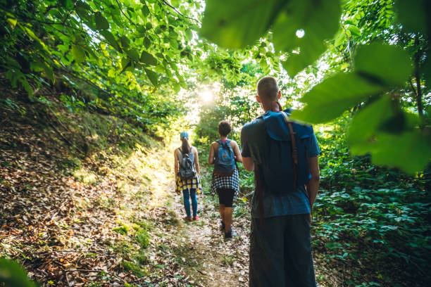 istock Group of Hikers in the forest 1215467211