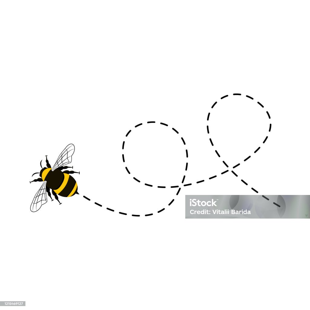 Bee flying on a dotted route isolated - Royalty-free Abelha arte vetorial